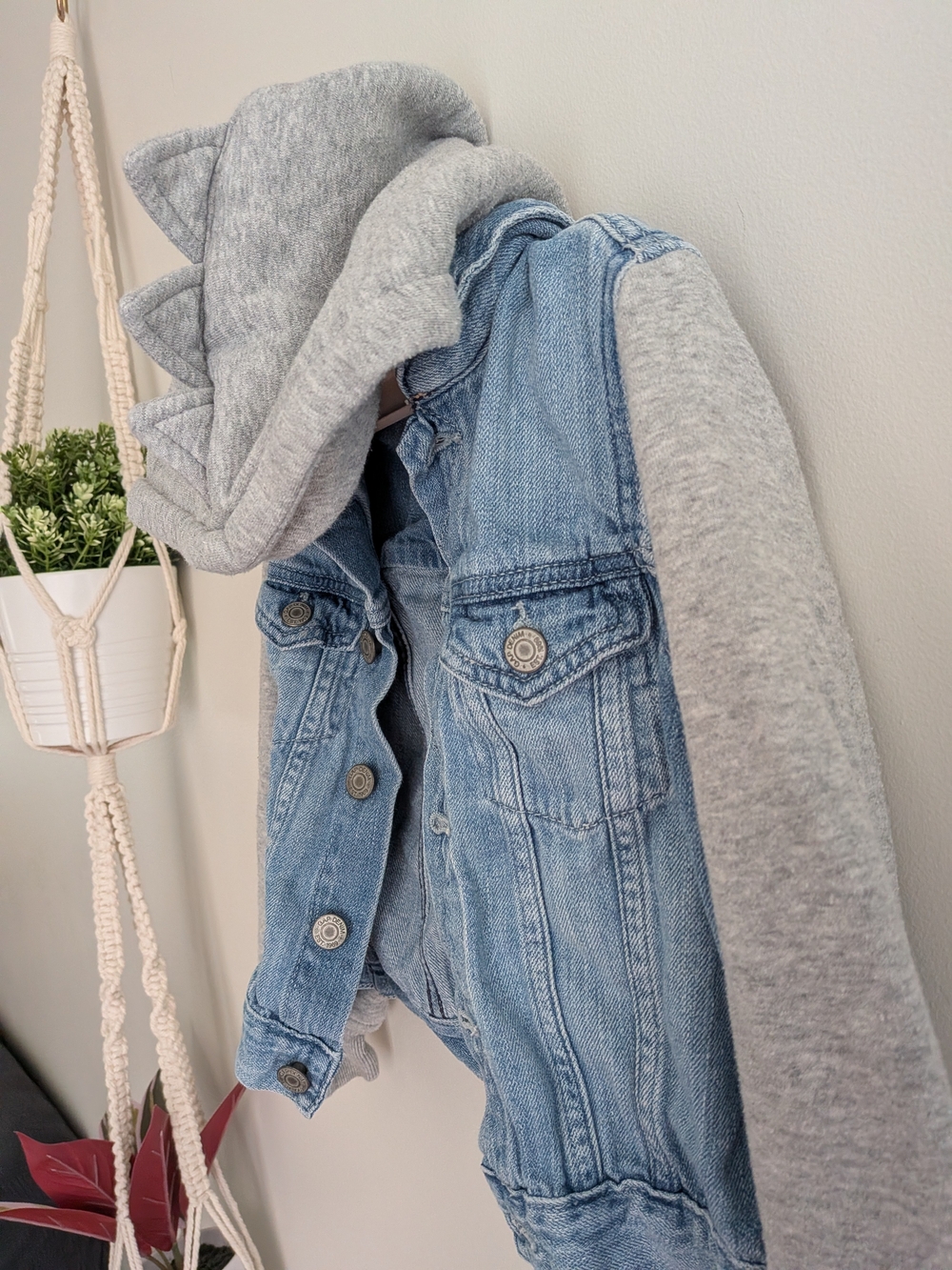 GAP Light Blue Denim Jacket with Gray Hoodie Sleeves - Picture 2 of 6